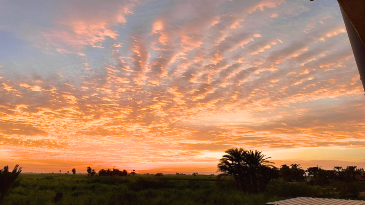 Leaders of Public Diplomacy. Africa