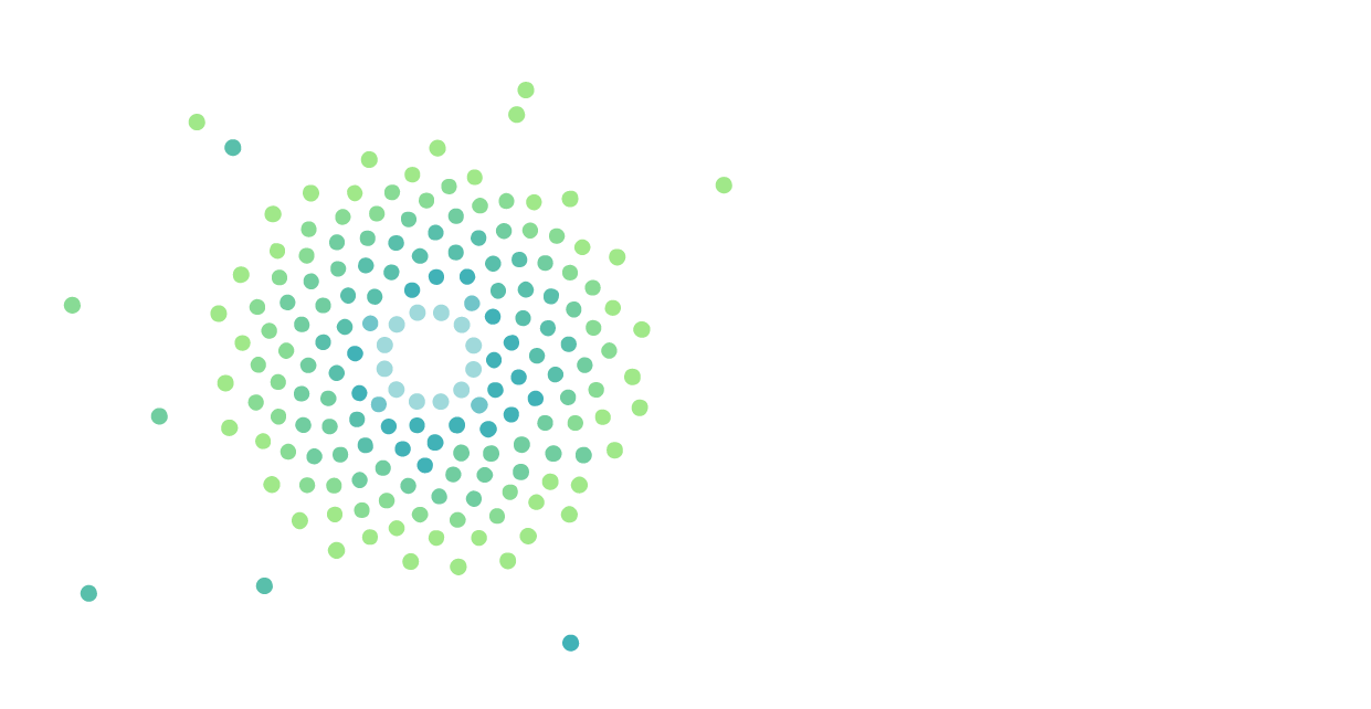 Лидер общественной дипломатии